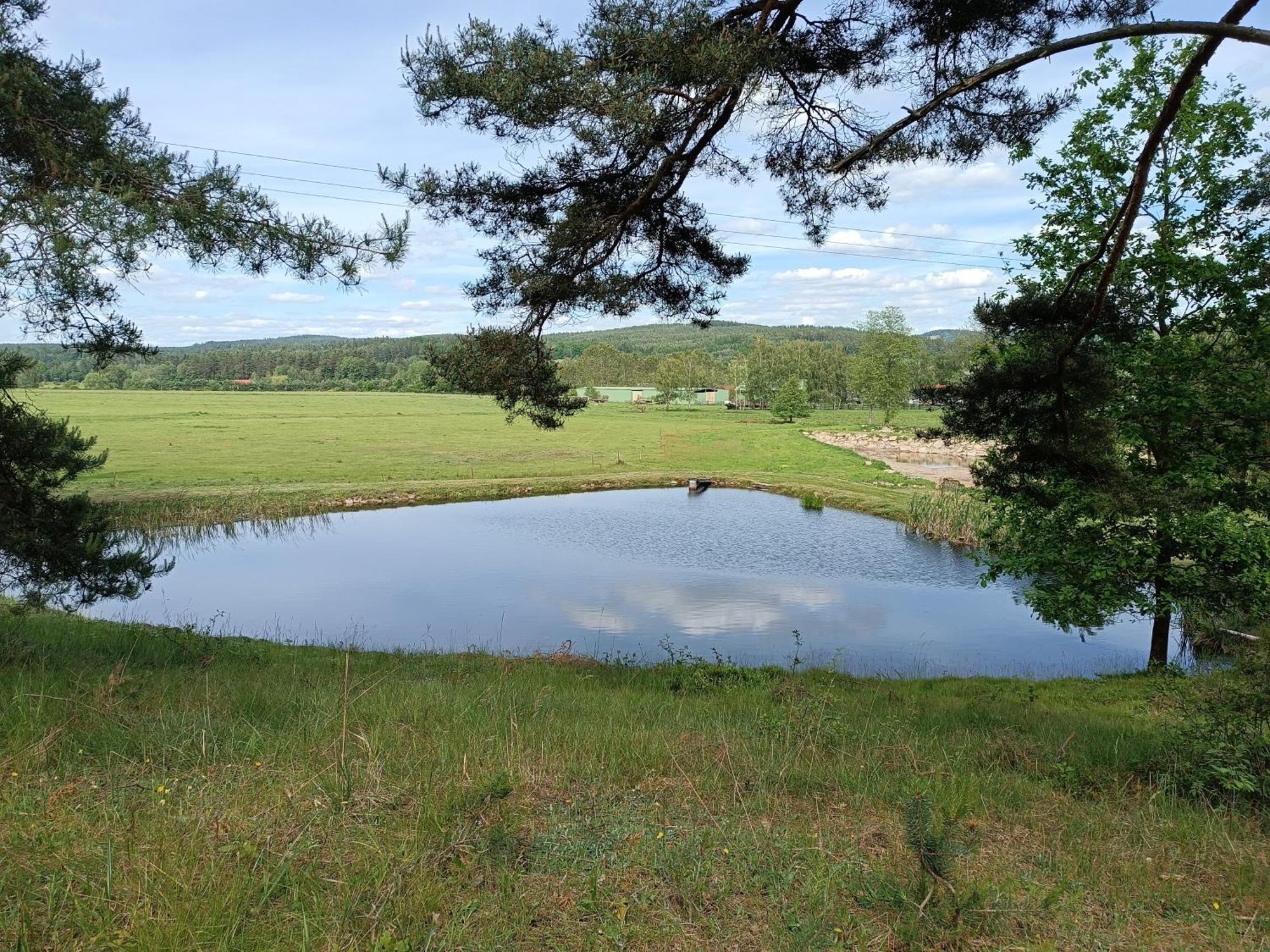 Villa Klidna Lokalita Na Kraji Lesa, Cely Dum S Uschovnu Kol Nová Bystřice Exterior foto